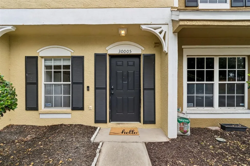 30005 Granda Hills Court Wesley Chapel FL 33543
