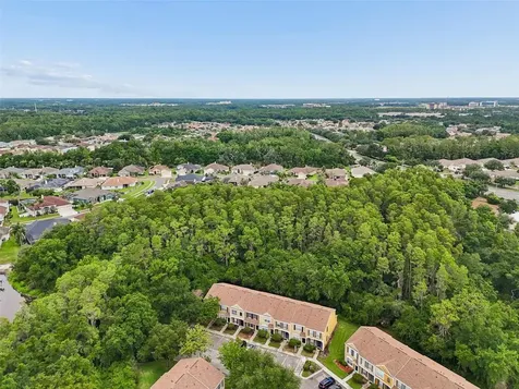 30005 Granda Hills Court Wesley Chapel FL 33543