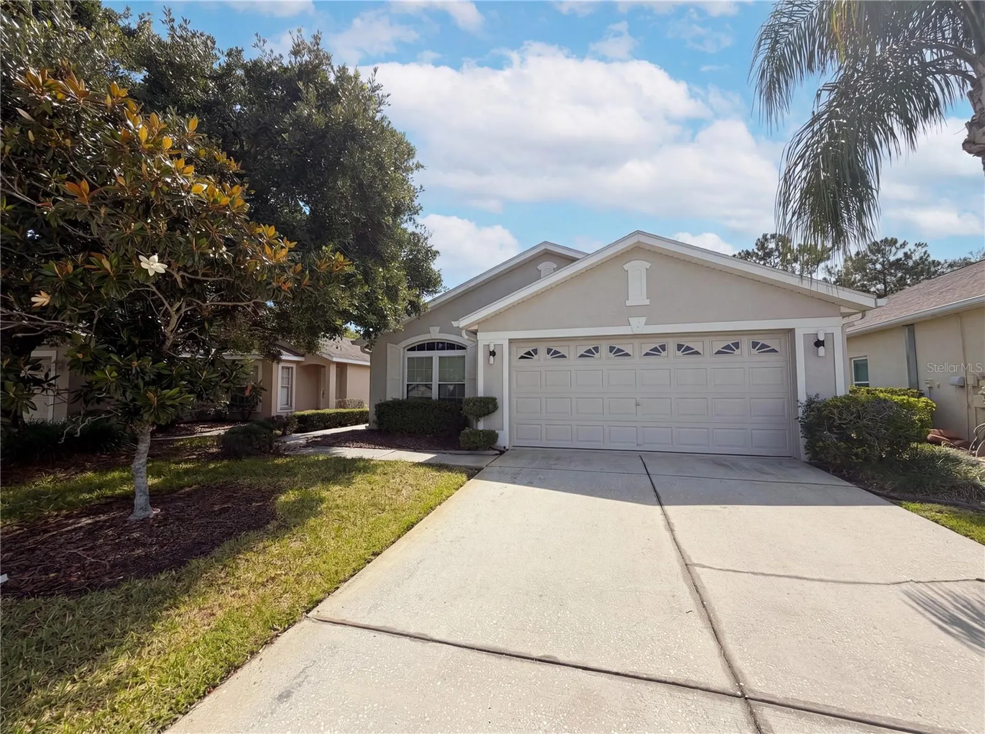 3133 Banyan Hill Lane Land O Lakes FL 34639