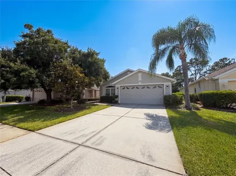 3133 Banyan Hill Lane Land O Lakes FL 34639