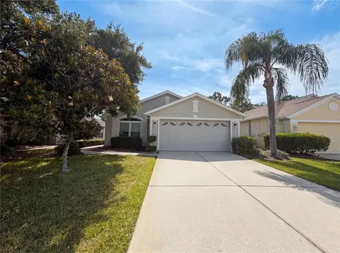 3133 Banyan Hill Lane Land O Lakes FL 34639