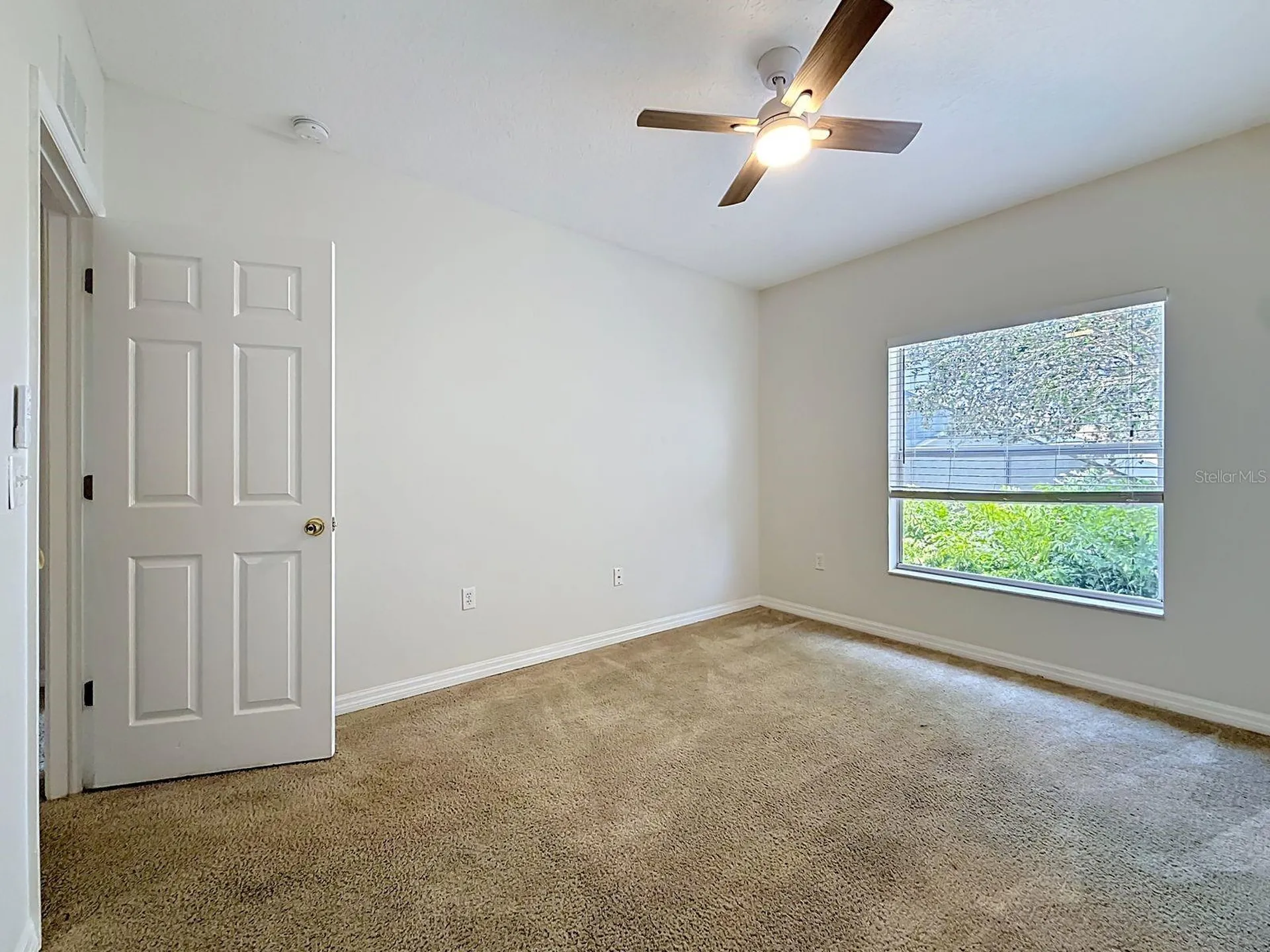 648 Norfolk Street Dunedin FL 34698
