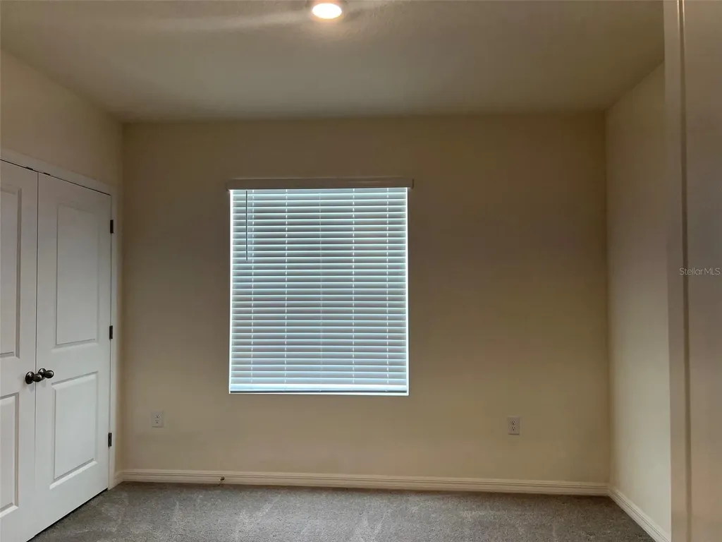 32978 Tulip Petal Lane Wesley Chapel FL 33545