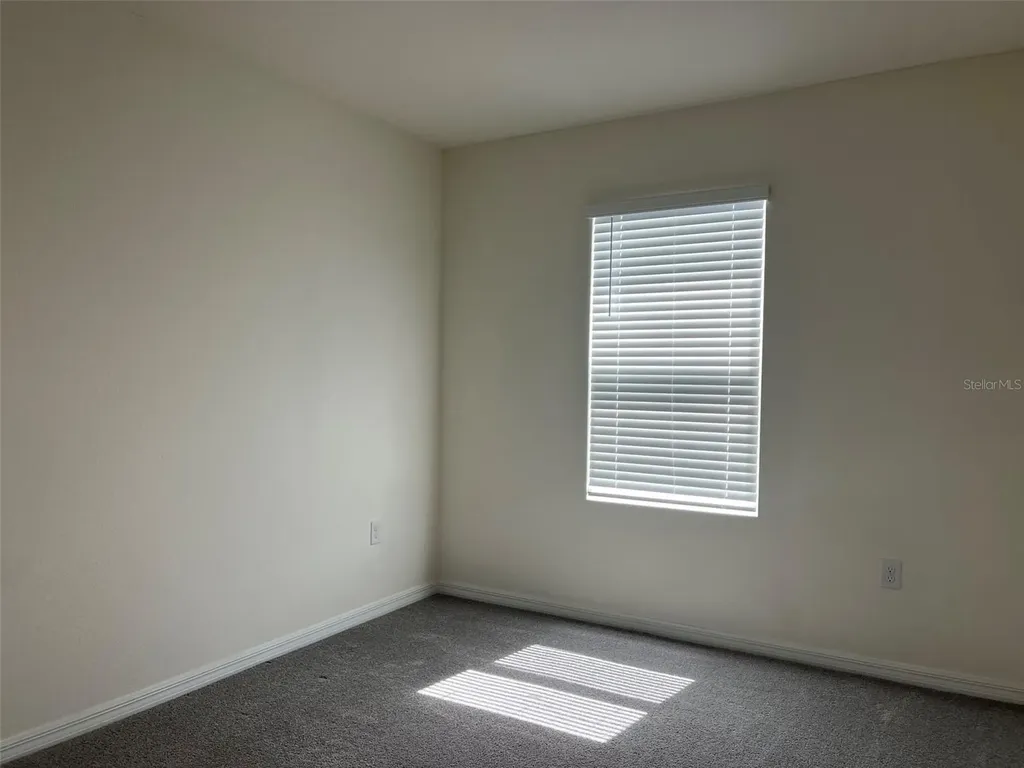 32978 Tulip Petal Lane Wesley Chapel FL 33545
