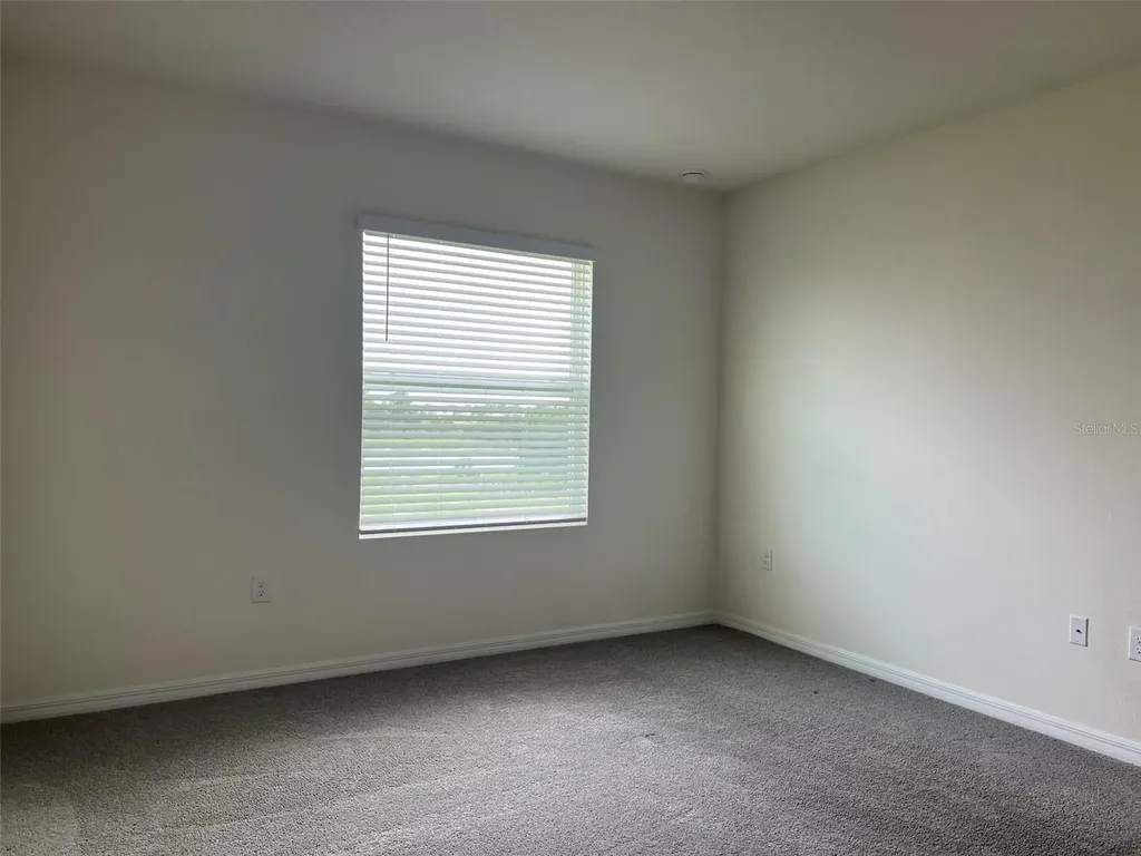 32978 Tulip Petal Lane Wesley Chapel FL 33545