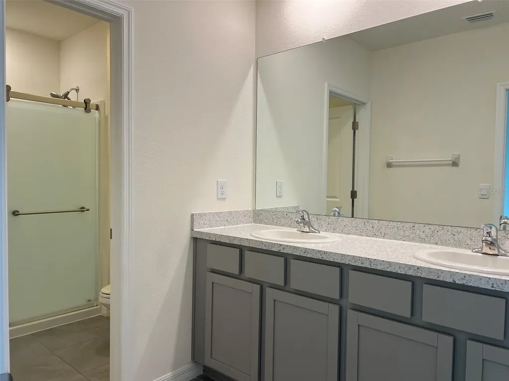 32978 Tulip Petal Lane Wesley Chapel FL 33545