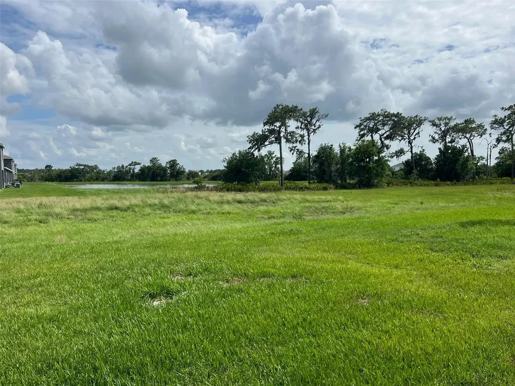 32978 Tulip Petal Lane Wesley Chapel FL 33545