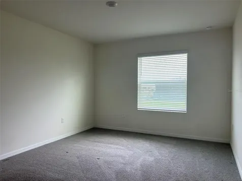 32978 Tulip Petal Lane Wesley Chapel FL 33545