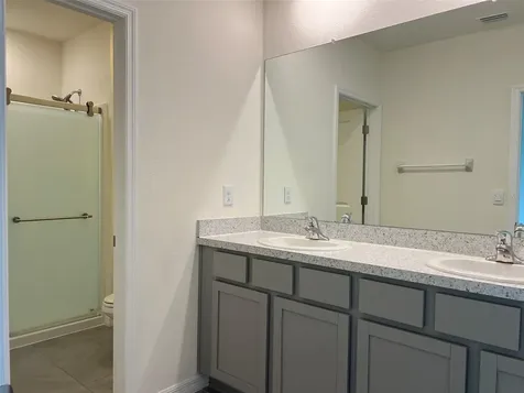 32978 Tulip Petal Lane Wesley Chapel FL 33545