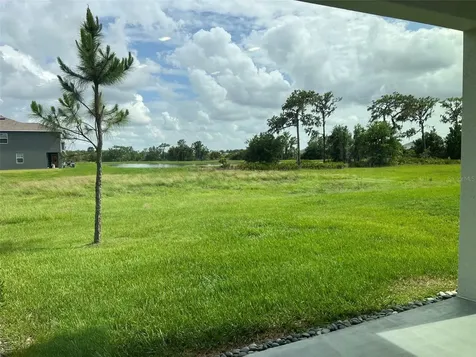 32978 Tulip Petal Lane Wesley Chapel FL 33545