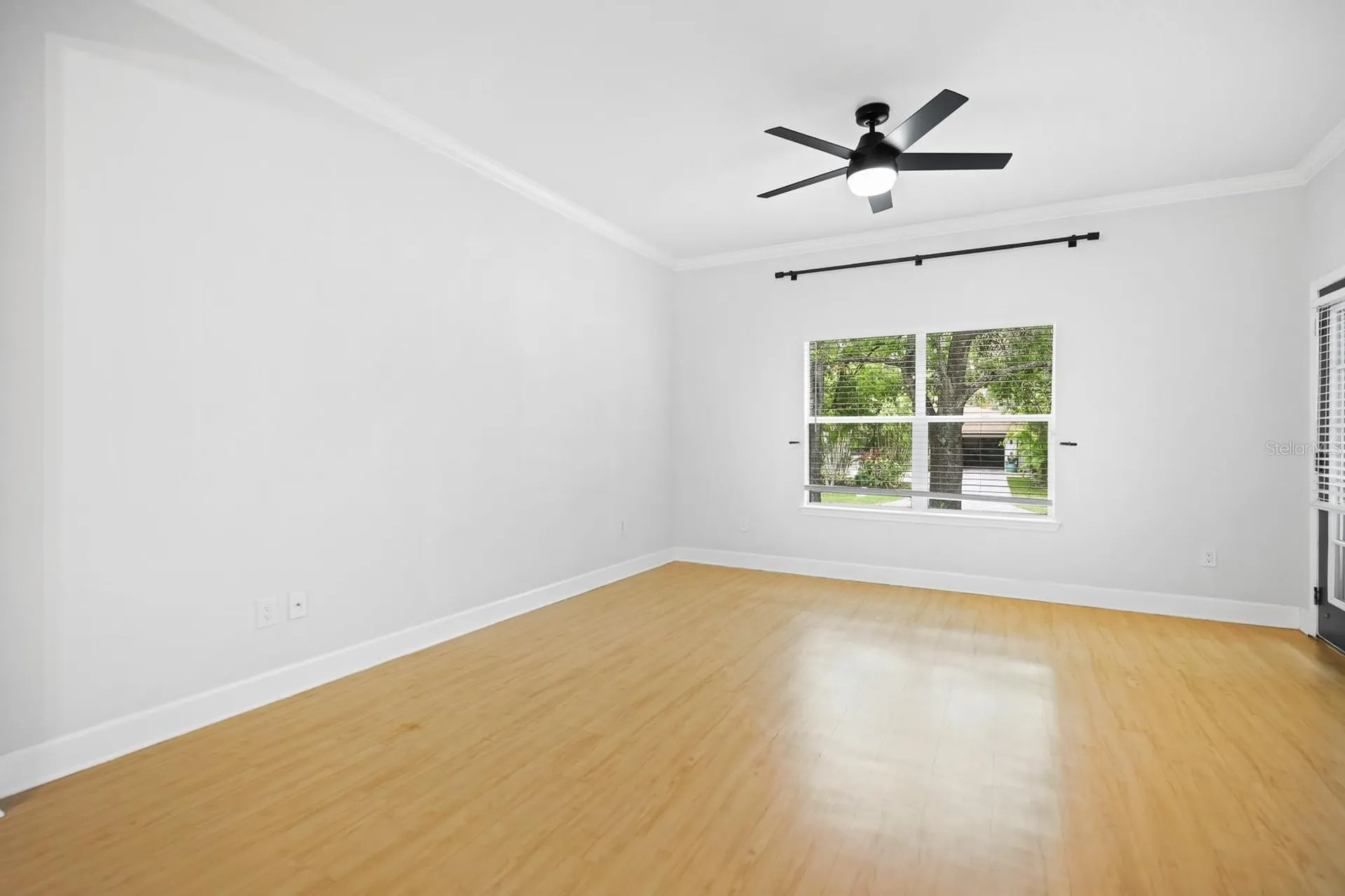 4706 Gurnet Court Tampa FL 33611