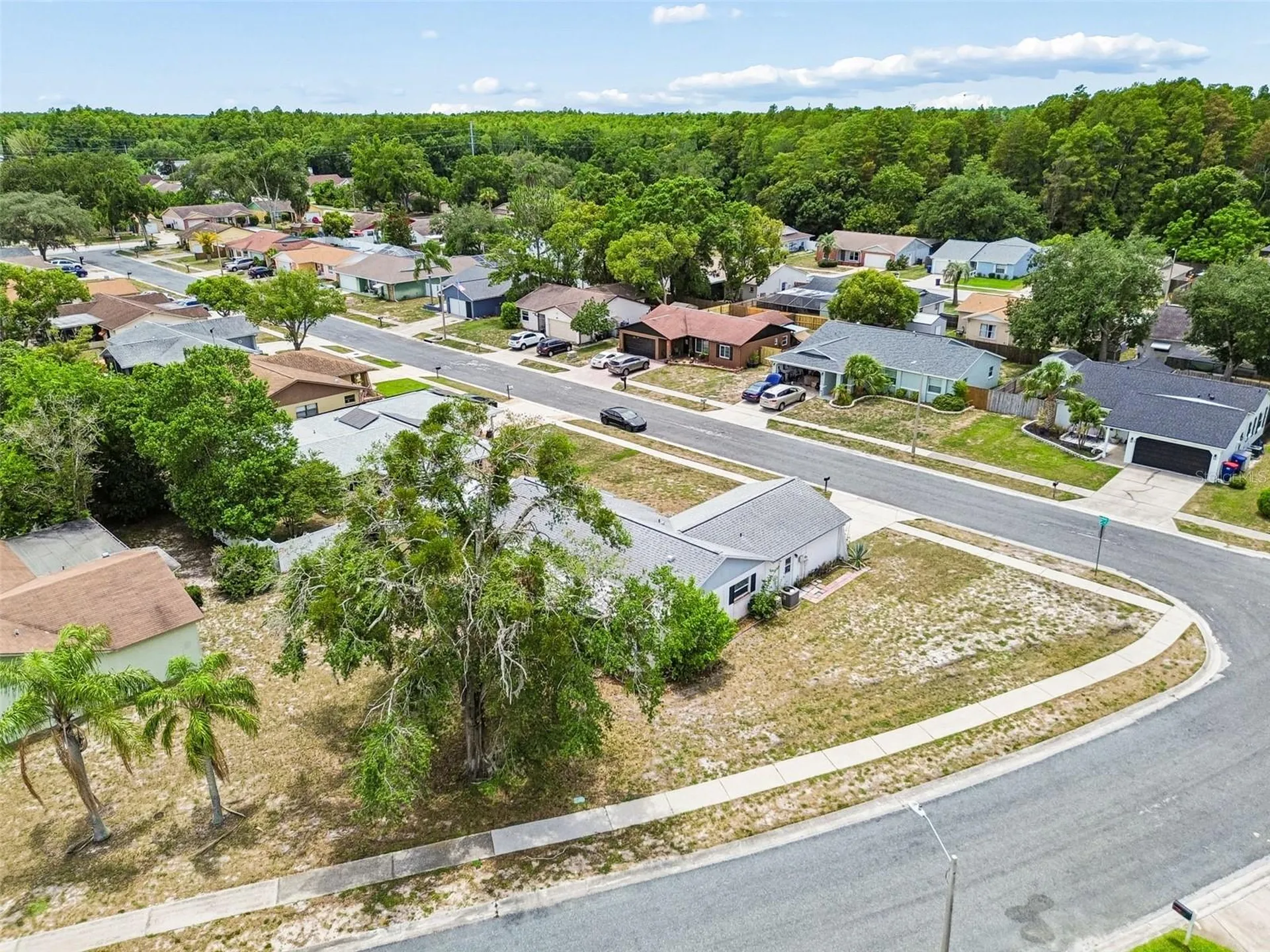 5120 Doefield Lane New Port Richey FL 34653