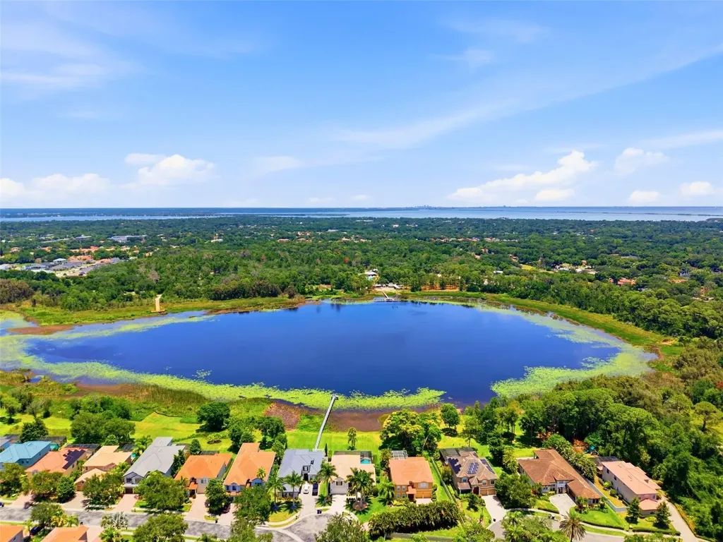 2691 Lakebreeze Lane S Clearwater FL 33759