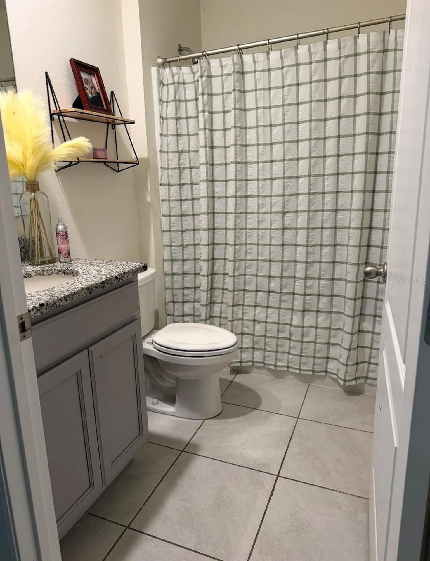 5240 Greenheart Avenue Mount Dora FL 32757