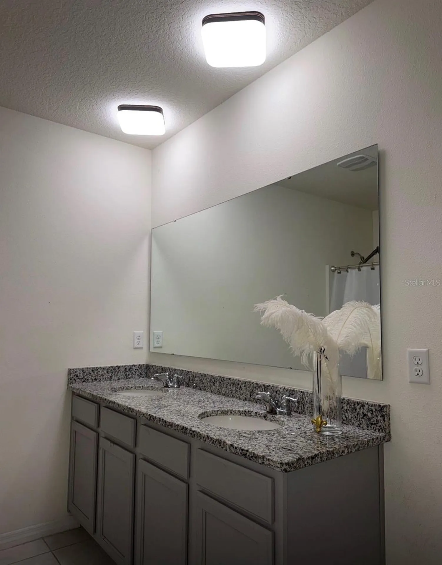 5240 Greenheart Avenue Mount Dora FL 32757