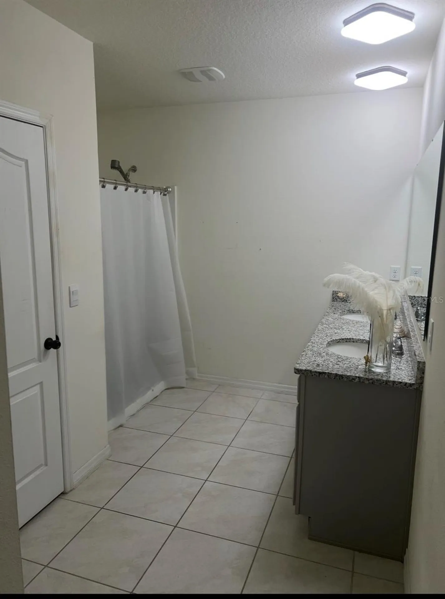 5240 Greenheart Avenue Mount Dora FL 32757