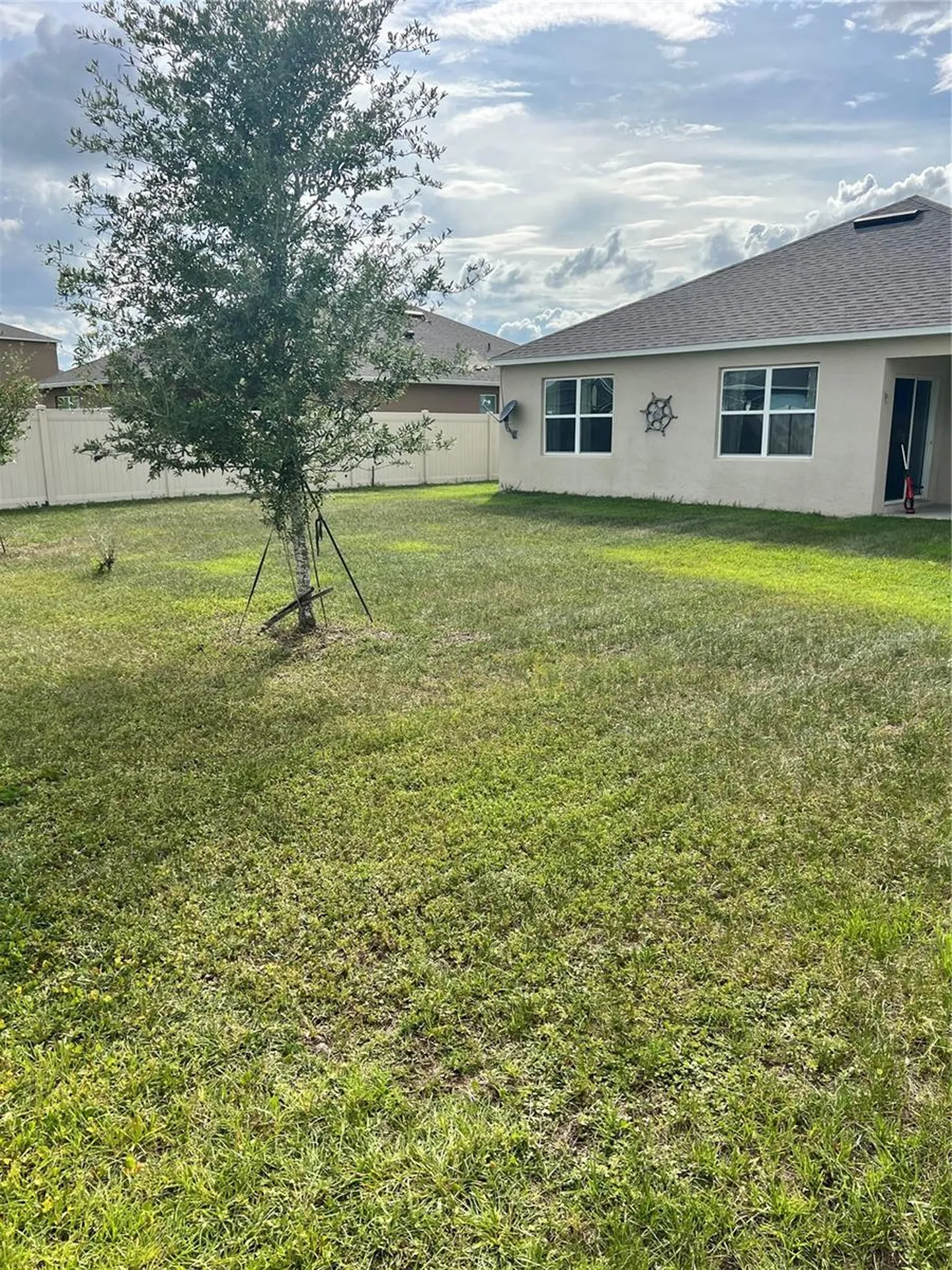 5240 Greenheart Avenue Mount Dora FL 32757