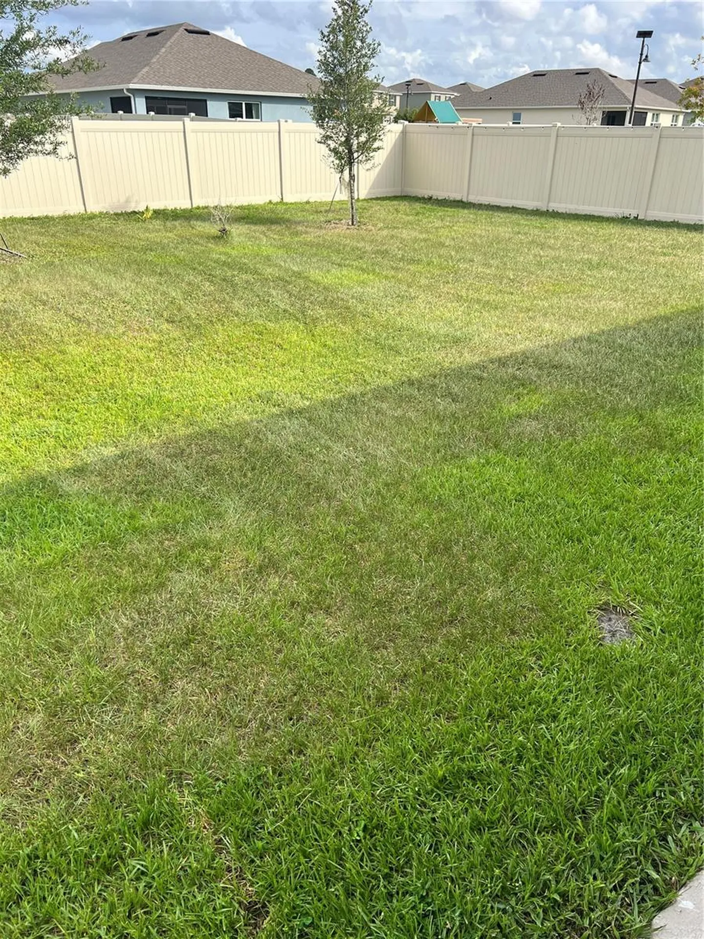 5240 Greenheart Avenue Mount Dora FL 32757