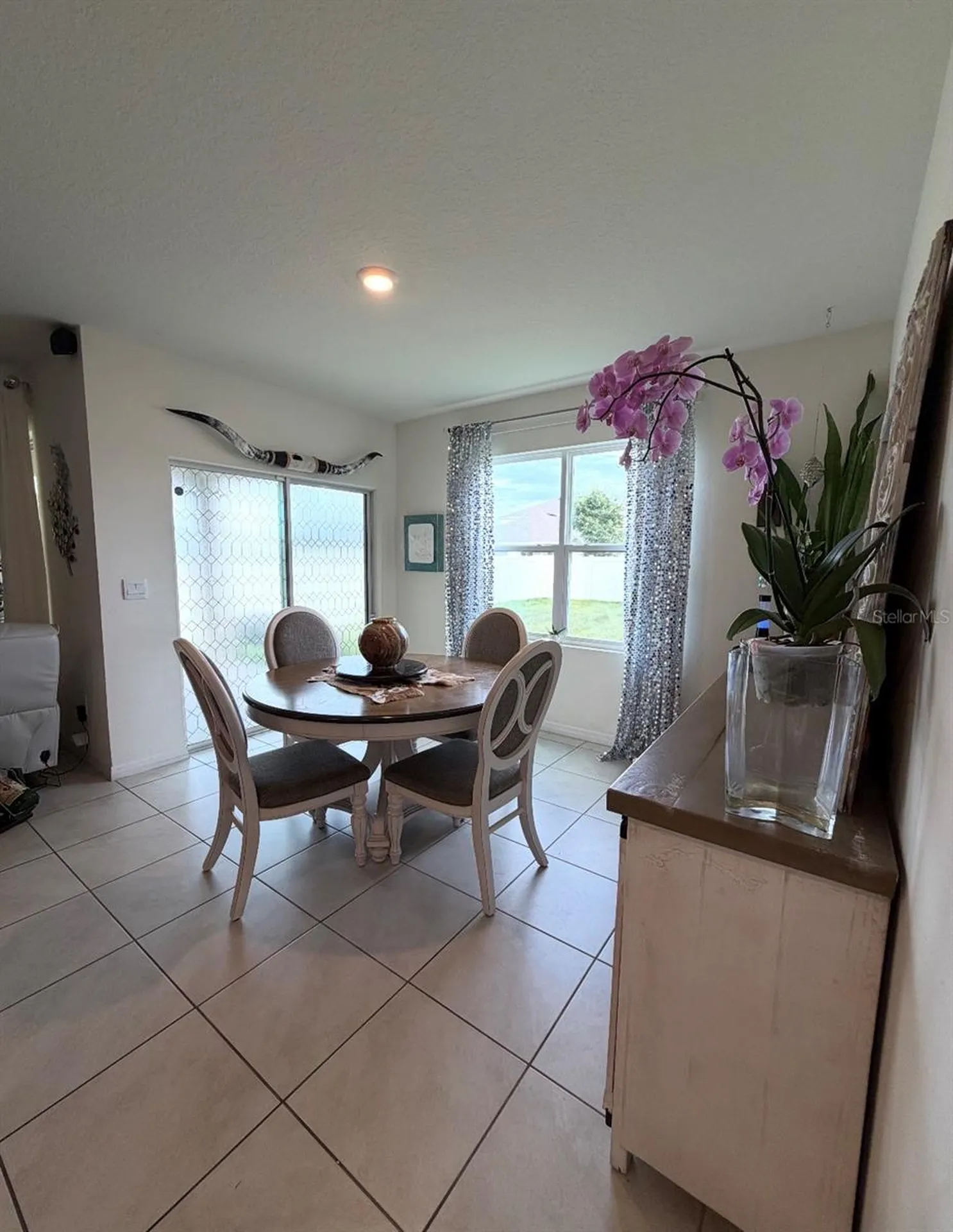 5240 Greenheart Avenue Mount Dora FL 32757