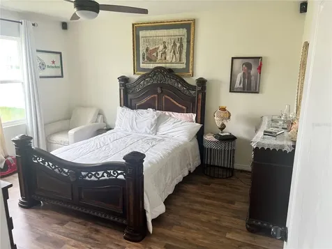5240 Greenheart Avenue Mount Dora FL 32757
