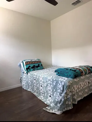 5240 Greenheart Avenue Mount Dora FL 32757