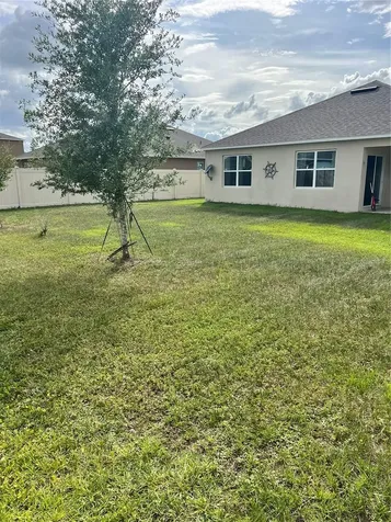 5240 Greenheart Avenue Mount Dora FL 32757