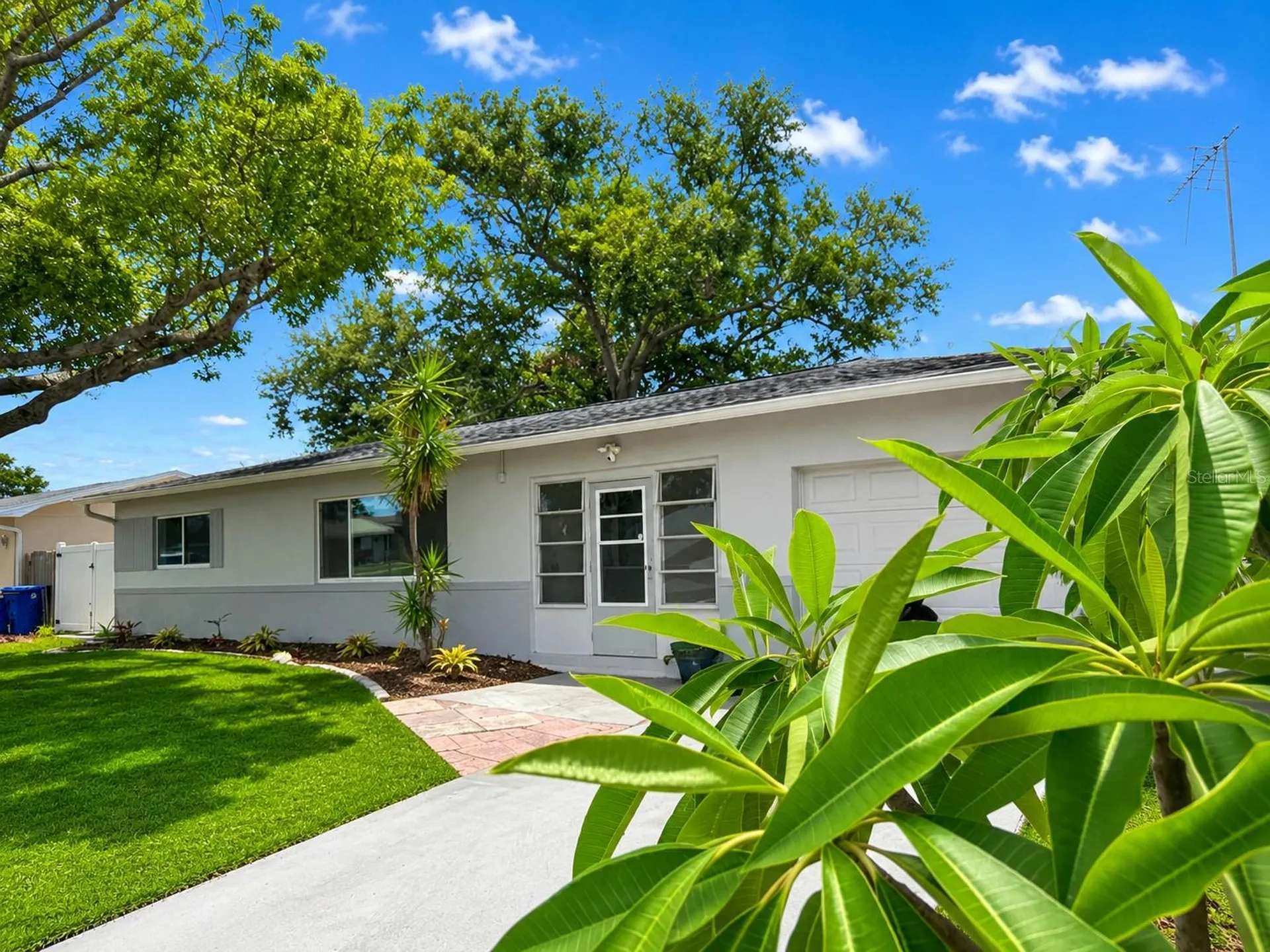 6000 42nd Avenue N St Petersburg FL 33709
