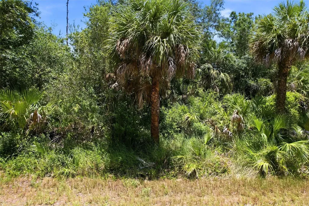 18426 Sagamore Avenue Port Charlotte FL 33954