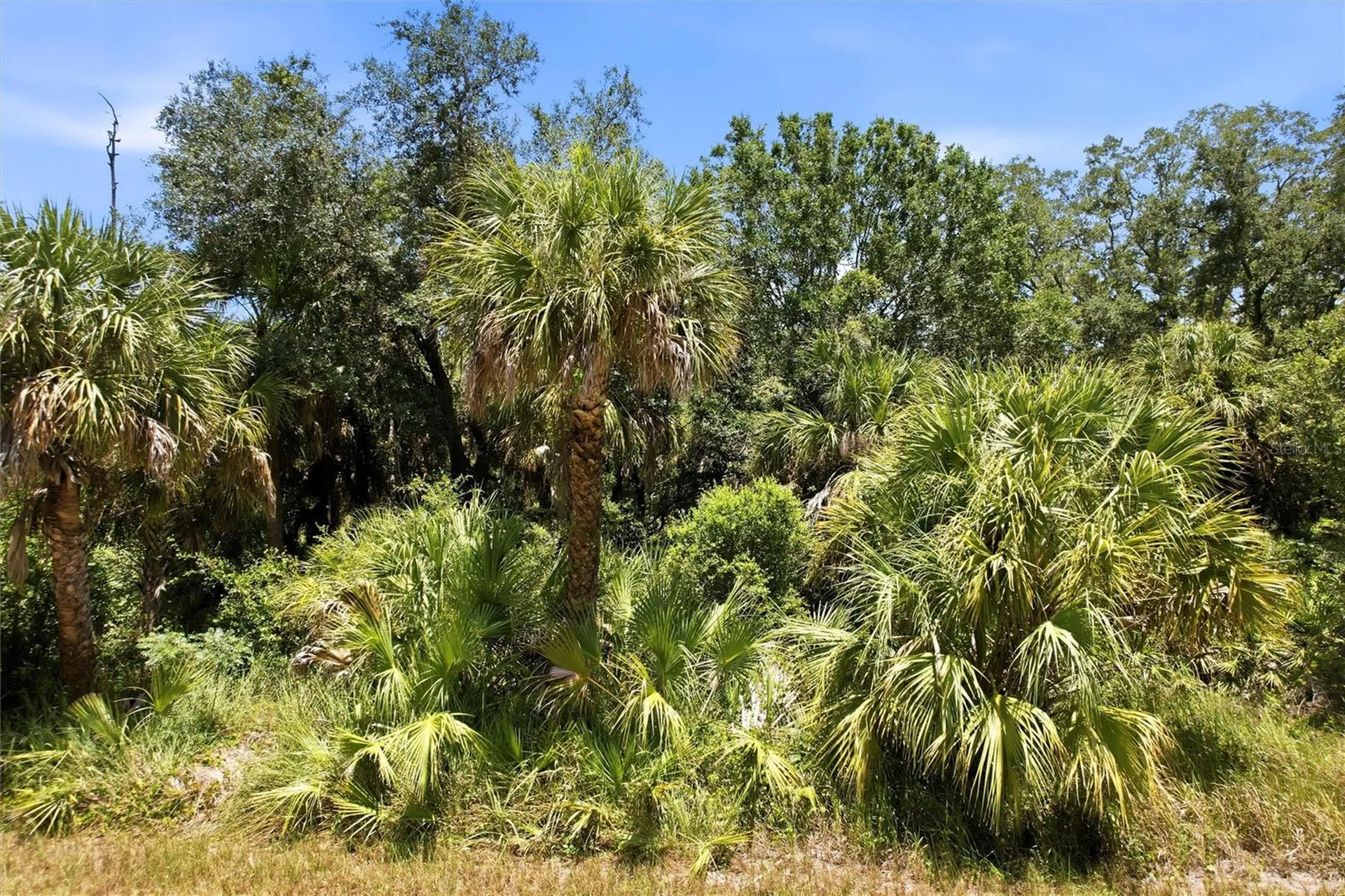 18426 Sagamore Avenue Port Charlotte FL 33954