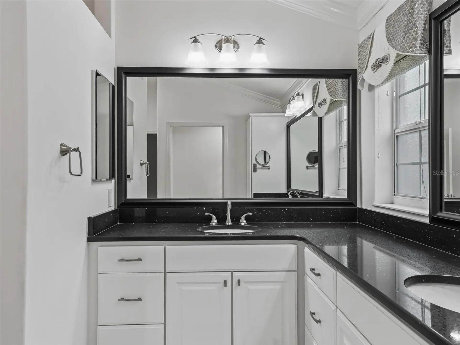 3556 Mistletoe Court The Villages FL 32163