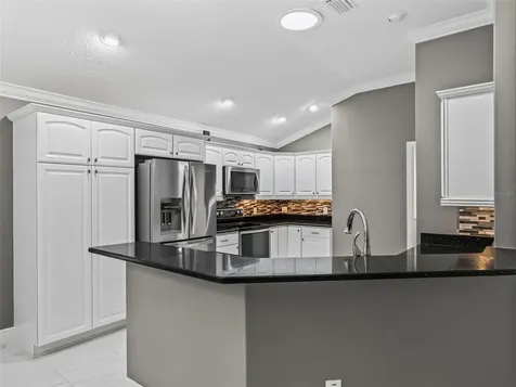 3556 Mistletoe Court The Villages FL 32163