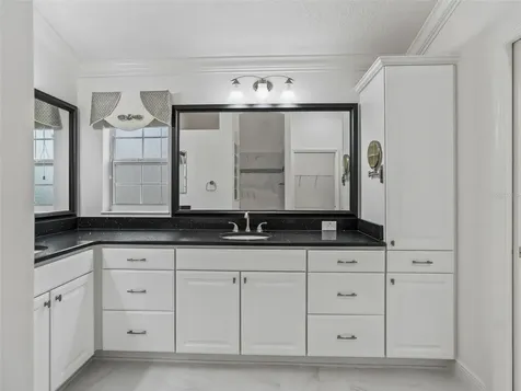 3556 Mistletoe Court The Villages FL 32163