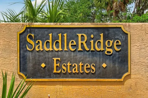 6130 Bridleford Drive Wesley Chapel FL 33545