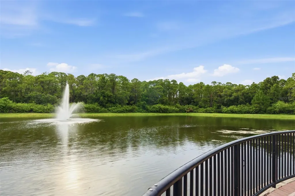 12615 Bassbrook Lane Tampa FL 33626