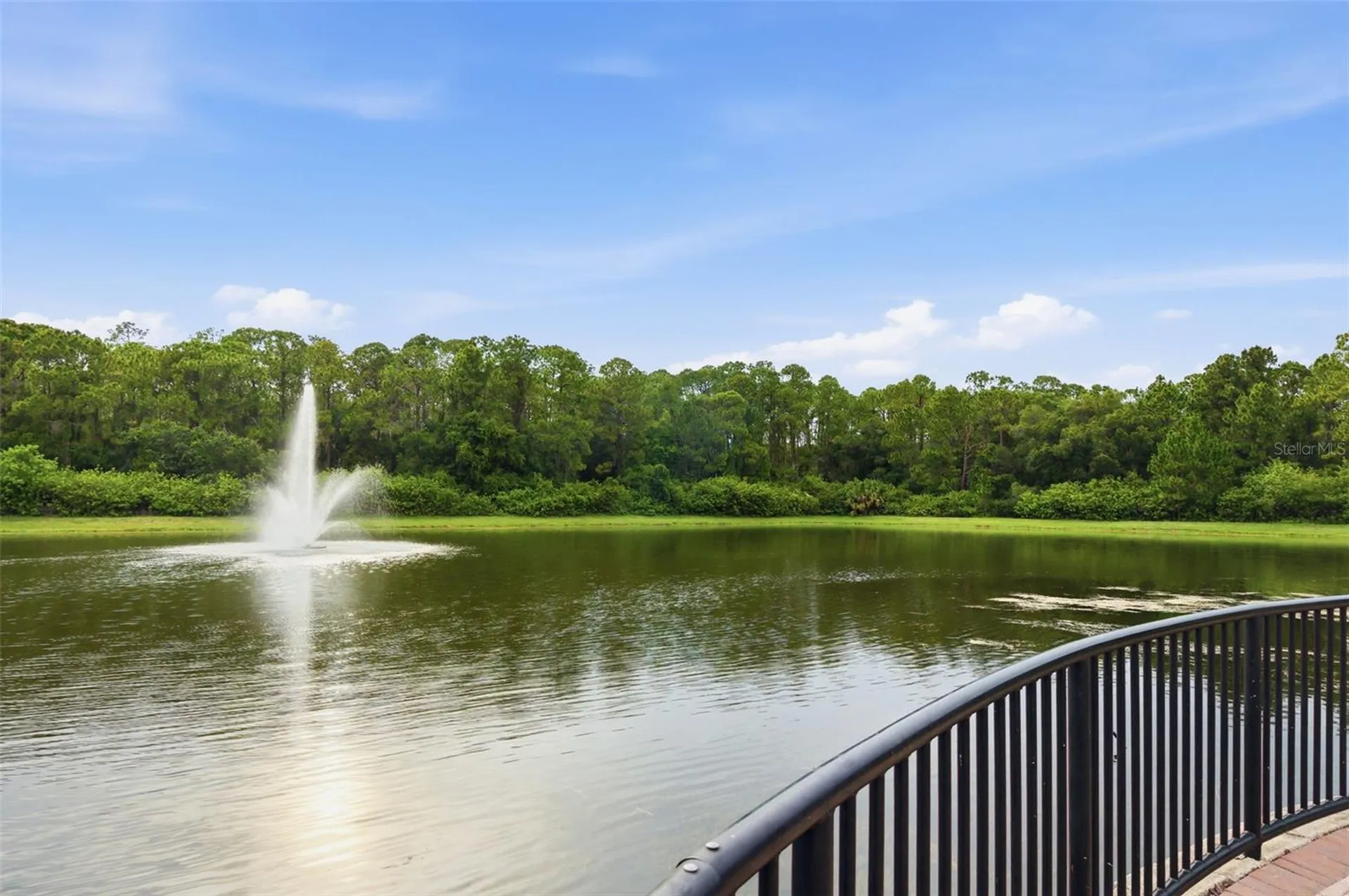 12615 Bassbrook Lane Tampa FL 33626