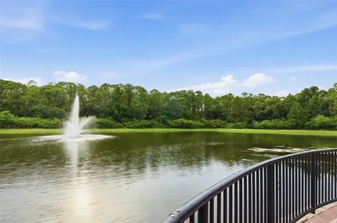 12615 Bassbrook Lane Tampa FL 33626
