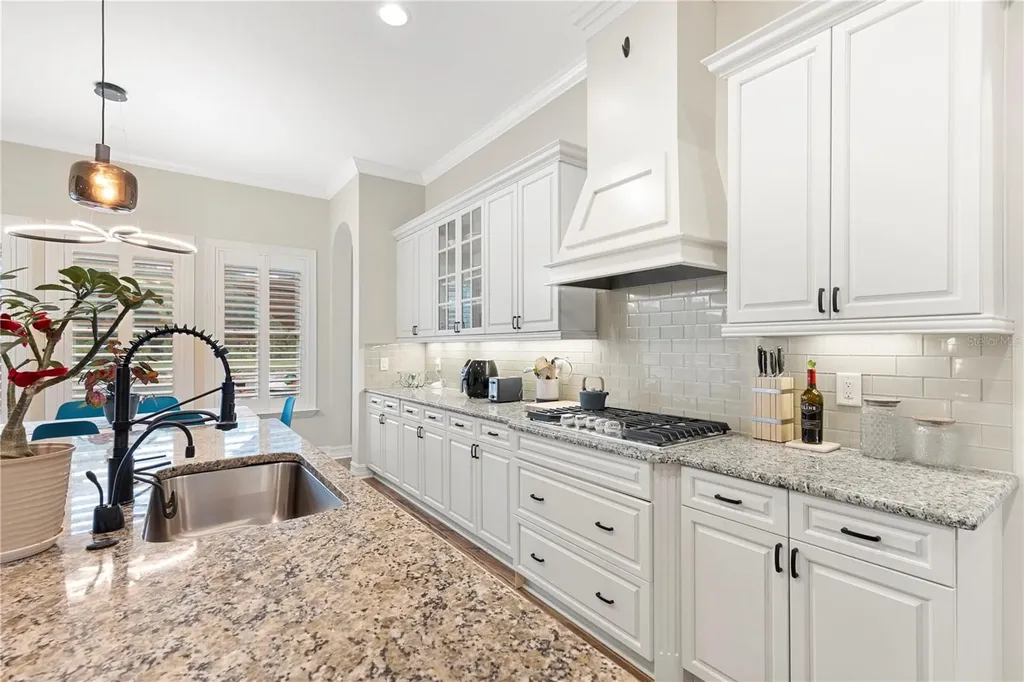 28715 Corbara Place Wesley Chapel FL 33543