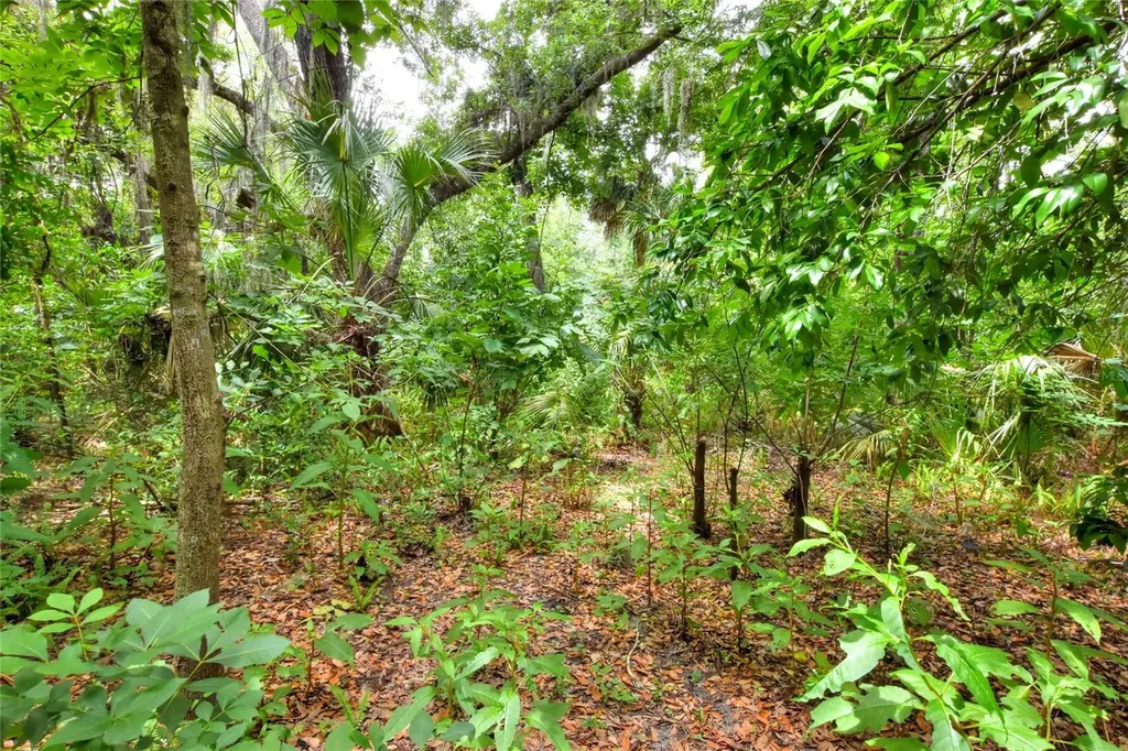 600 Thompson Road Lithia FL 33547