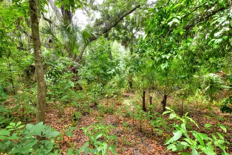 600 Thompson Road Lithia FL 33547