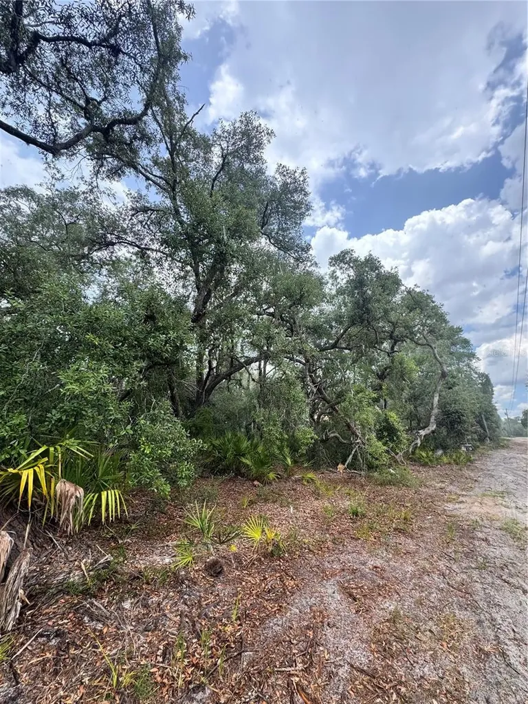 Tbd SW 71st Road Ocala FL 34473