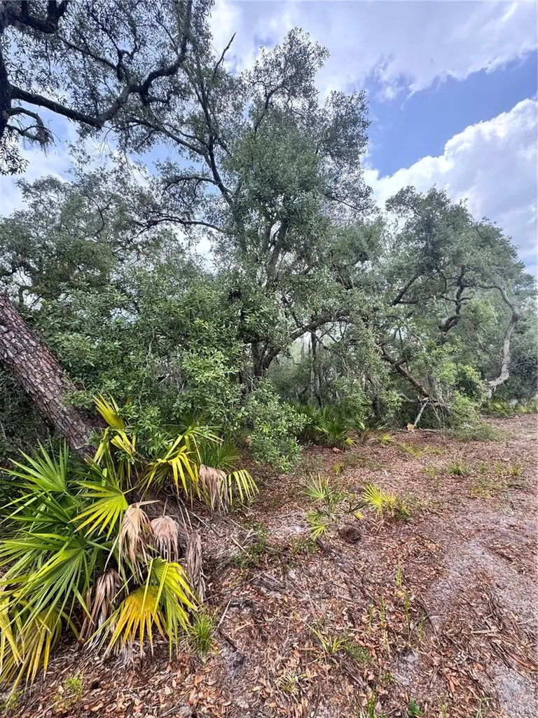 Tbd SW 71st Road Ocala FL 34473