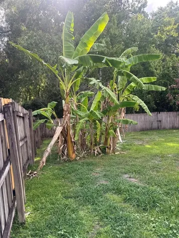 862 Jade Forest Avenue Orlando FL 32828