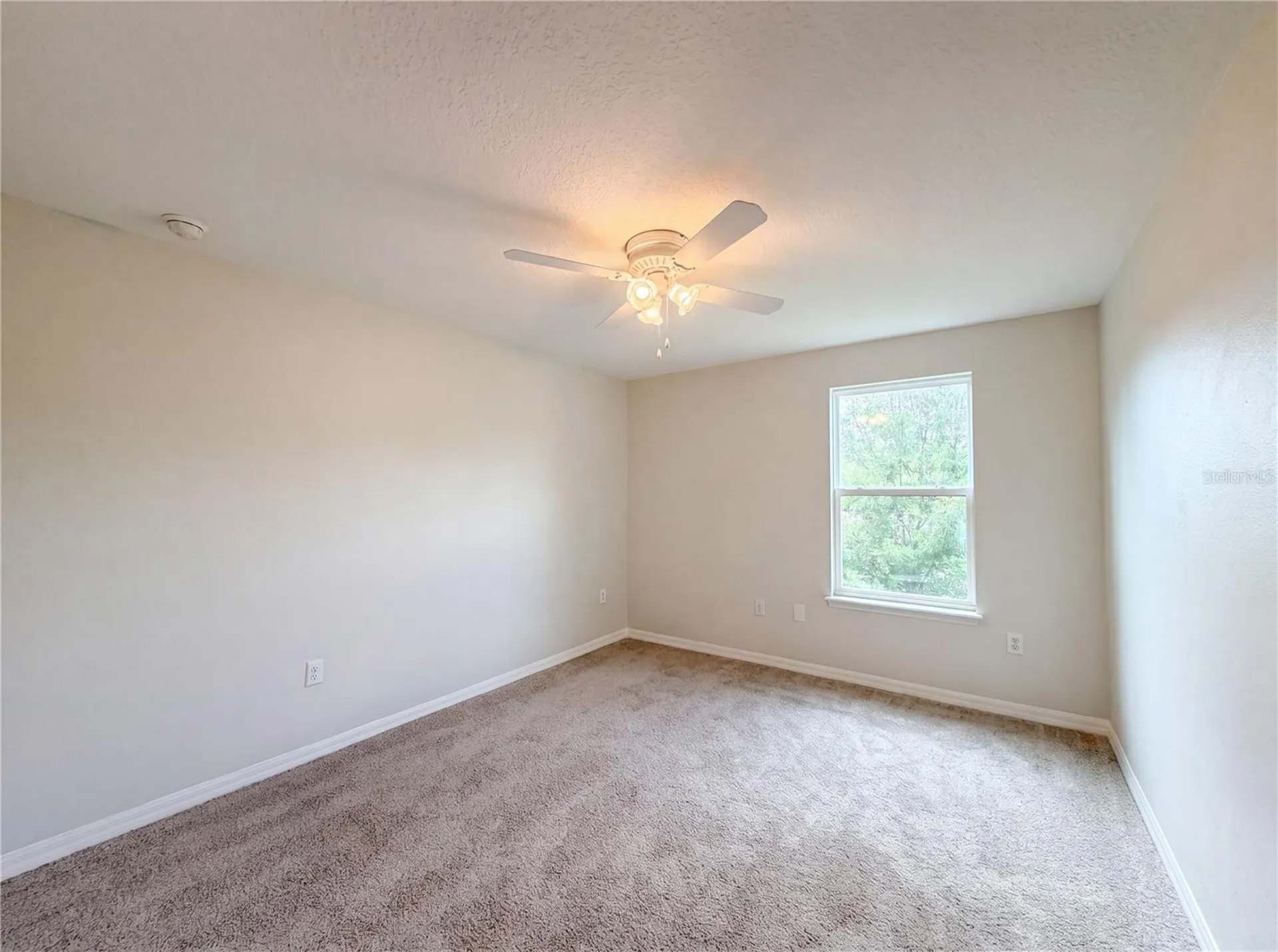 4876 Grassy Knoll Drive Tavares FL 32778