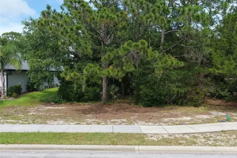 18 N Lakewalk Drive Palm Coast FL 32137