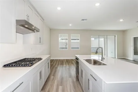 33531 Hammock Beach Way Dade City FL 33525