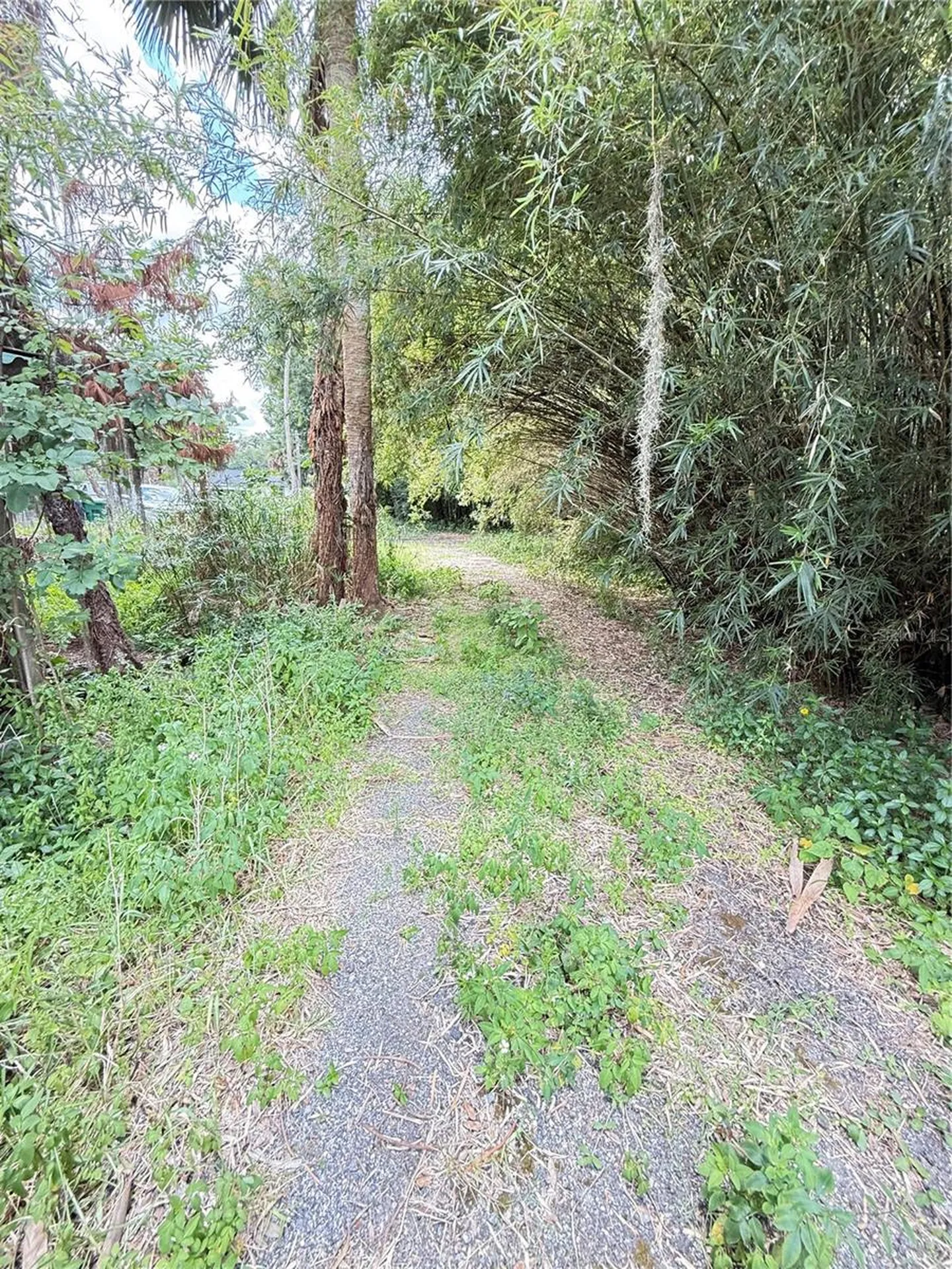 2260 Hontoon Road Deland FL 32720