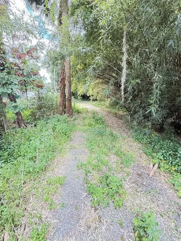 2260 Hontoon Road Deland FL 32720