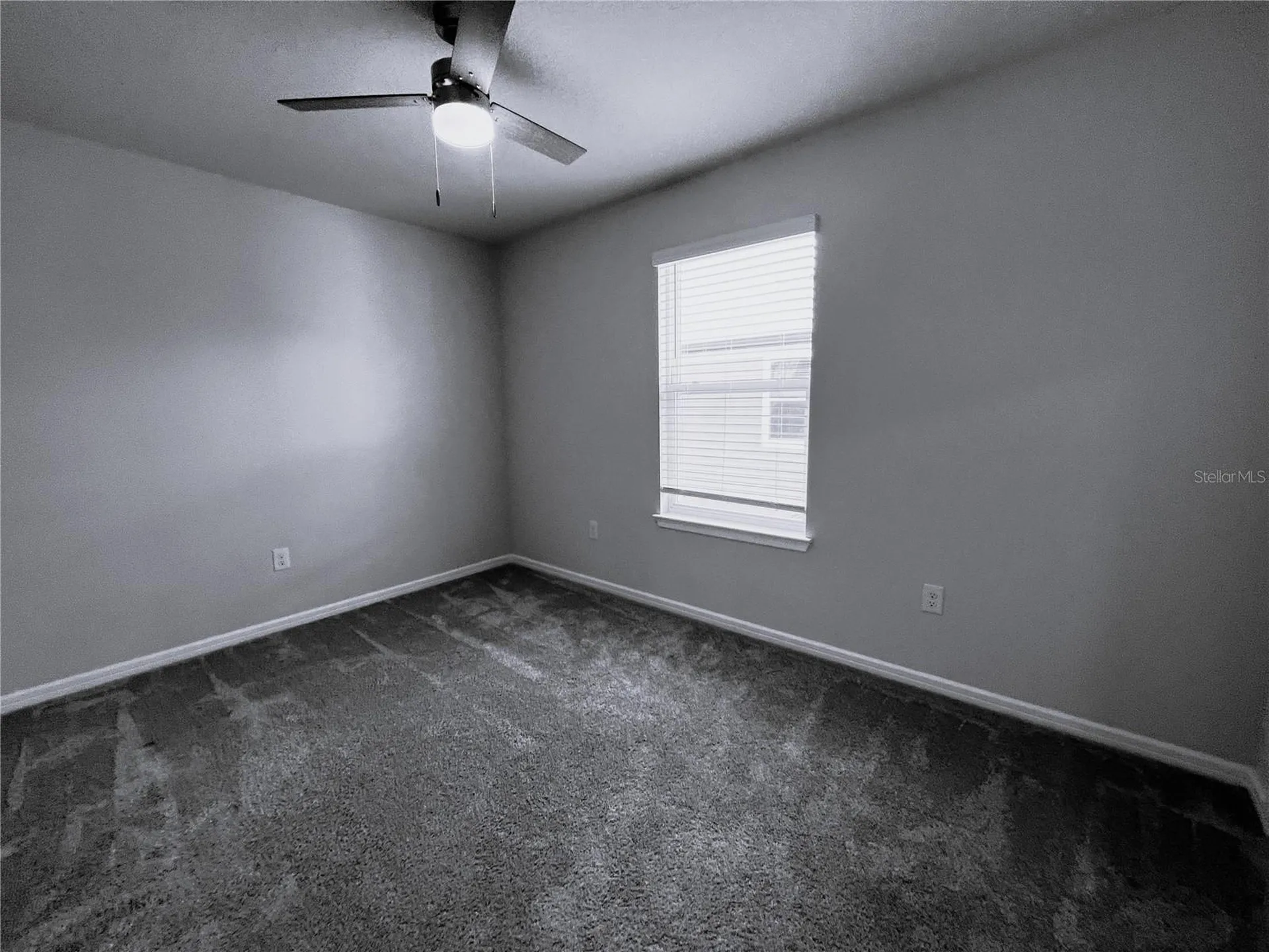 19646 Shady Oak Drive Land O Lakes FL 34638