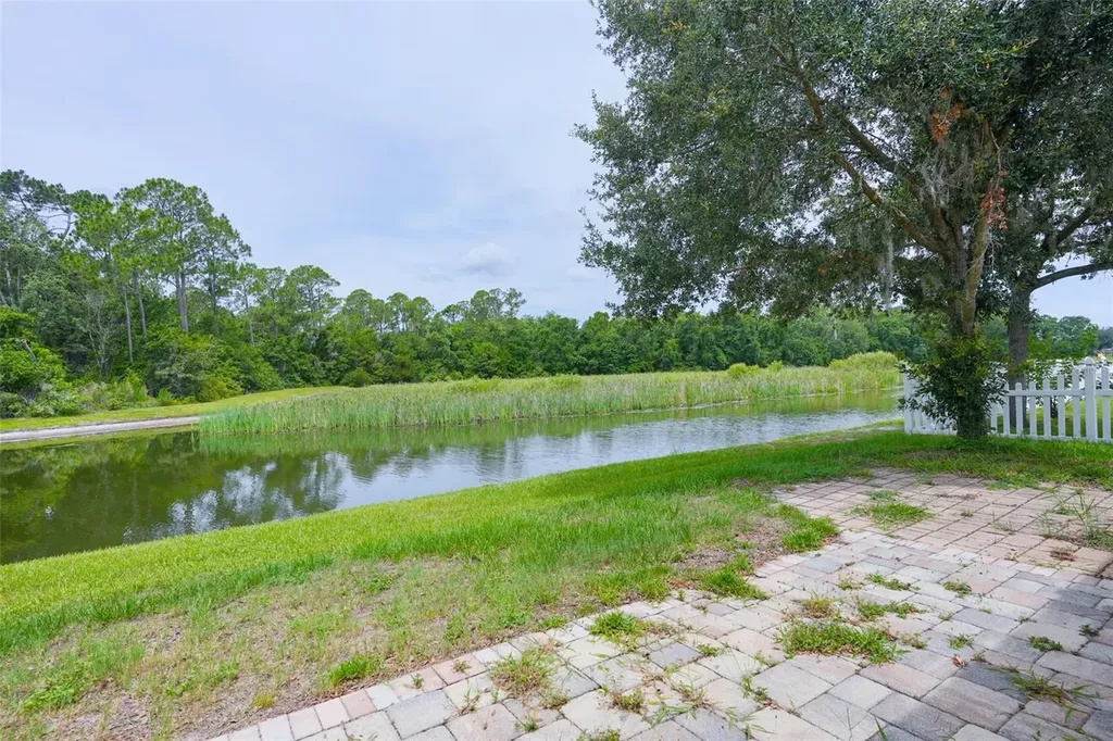 6019 Evansbrook Drive Zephyrhills FL 33541