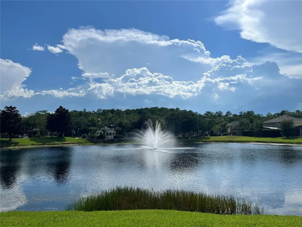 10068 Silver Laurel Way Orlando FL 32832